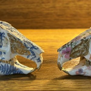 Skull Decorating Class