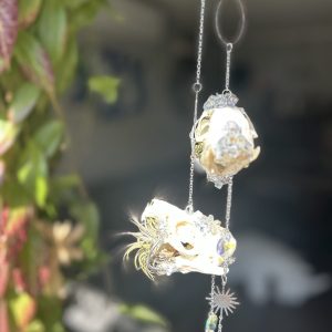 Skull Airplant Hangers