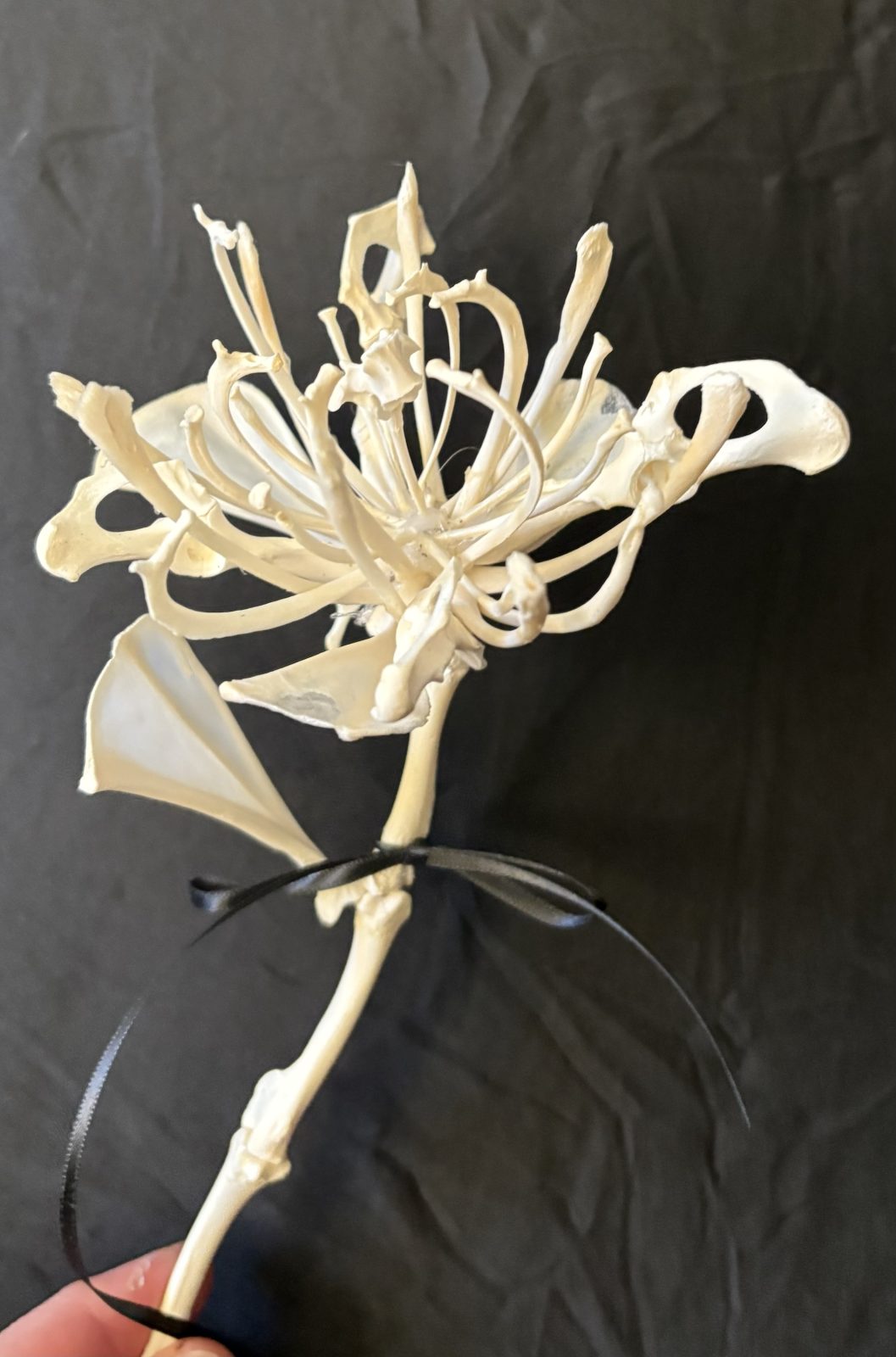 Bone Flower Class - Image 5