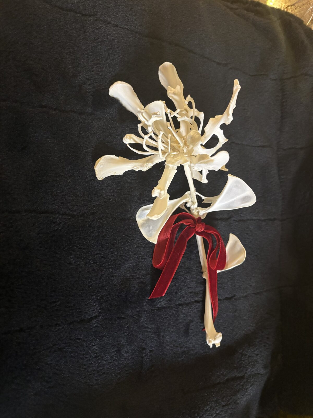 Bone Flower Class - Image 4