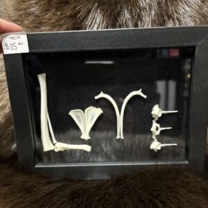Bone Word Frames